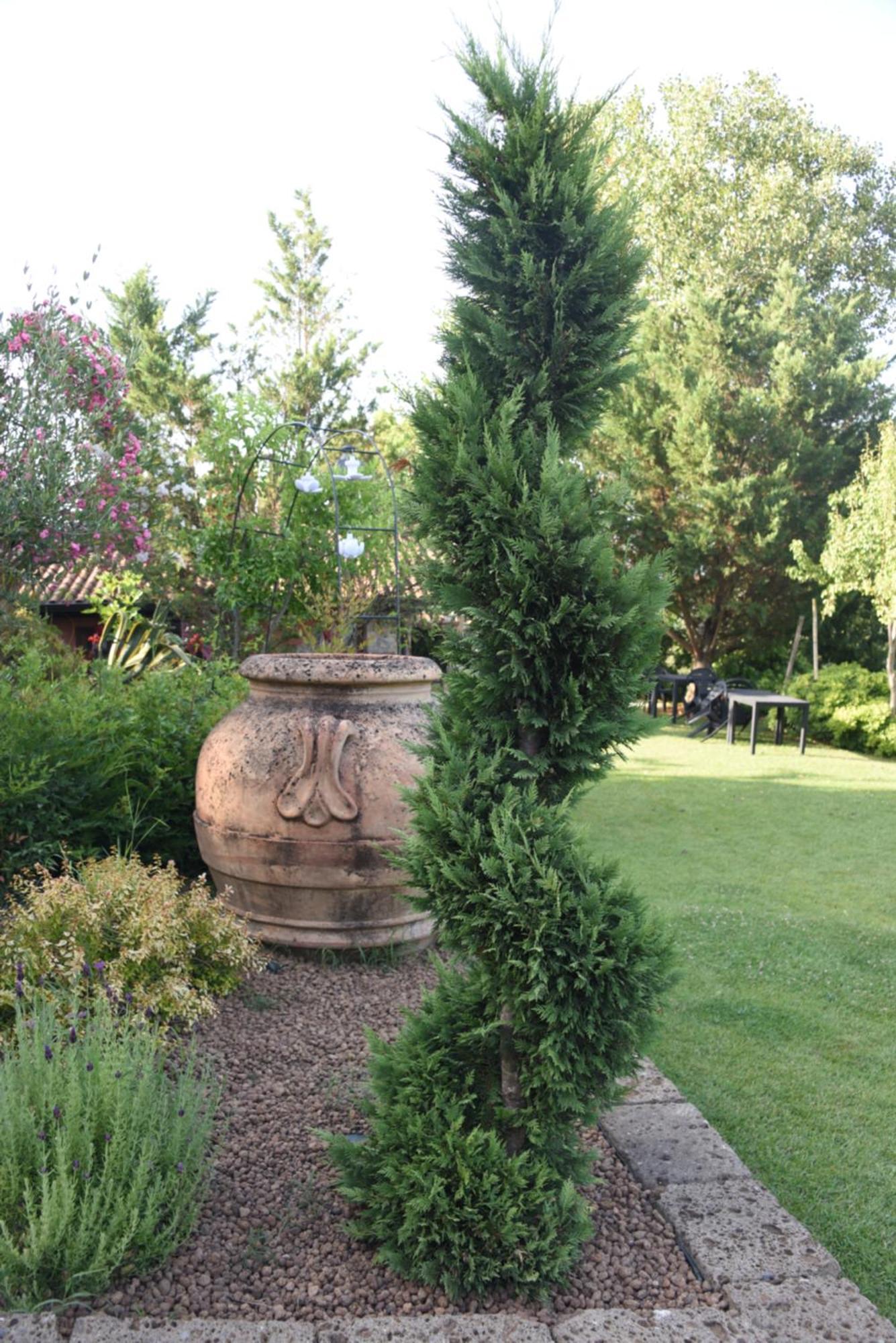 Bosco D'Olmi Country House Sant'Andrea del Garigliano Exterior photo
